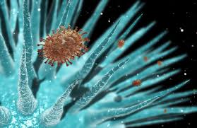 There it is! Attacking me!