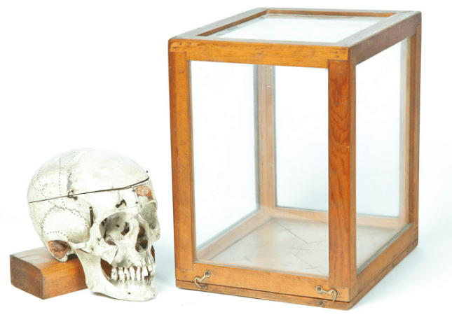 Reginald Crane says, "Bye."